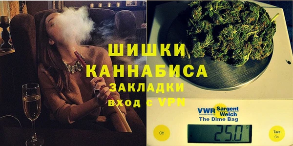 прущие грибы Кирсанов