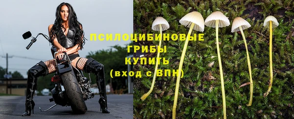 альфа пвп Медногорск