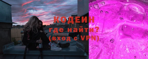 прущие грибы Кирсанов