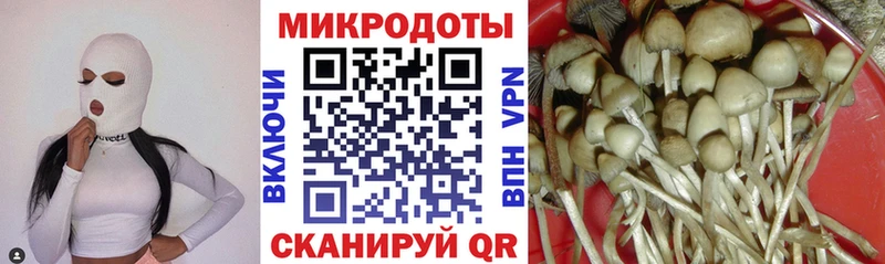 Псилоцибиновые грибы прущие грибы  Назарово 